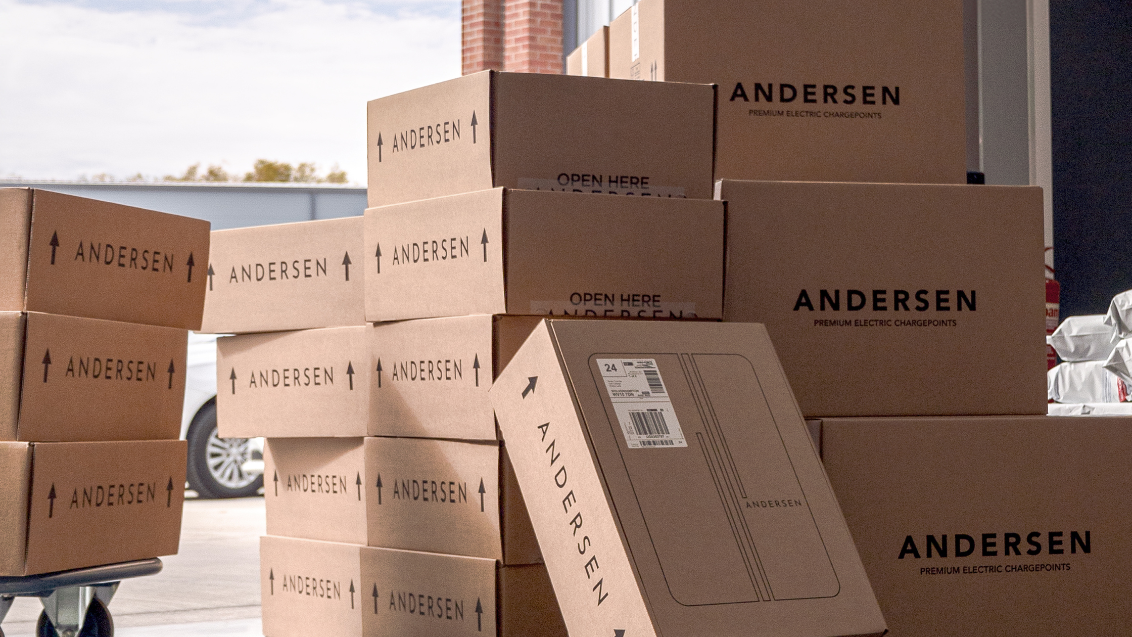 Andersen celebrates record-breaking year in 2024